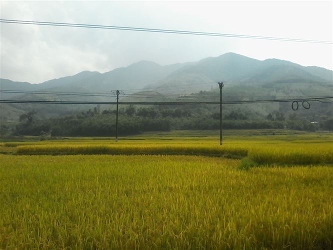 Hoa Binh