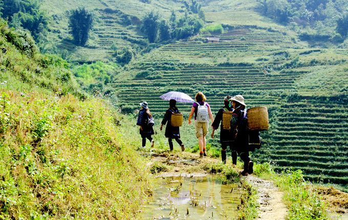 Nord du Vietnam