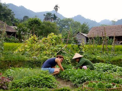 Nord du Vietnam