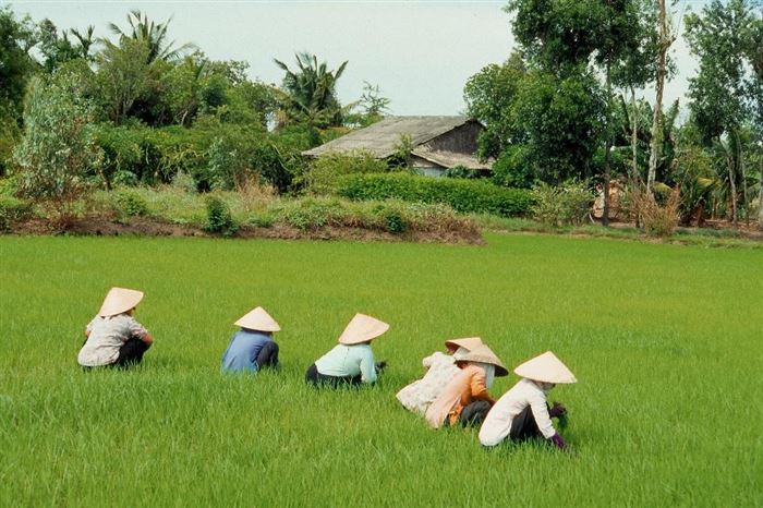 Découverte approfondie du Nord du Vietnam (15 jours 14 nuits)