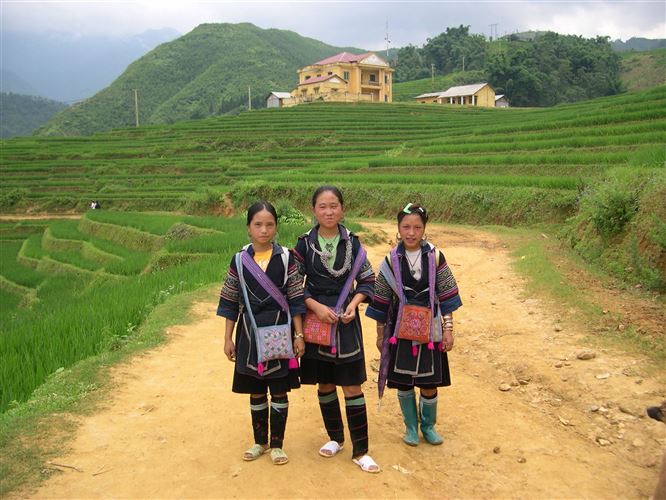 Sapa