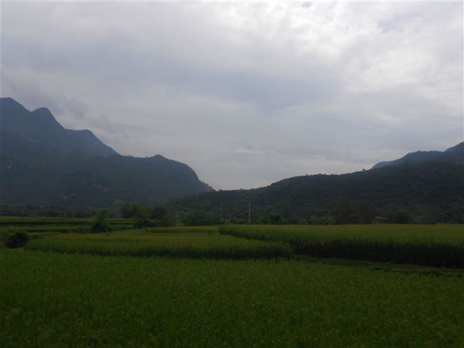 Mai Chau