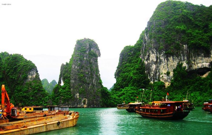 Croisière dans la baie dHalong en 1 jour