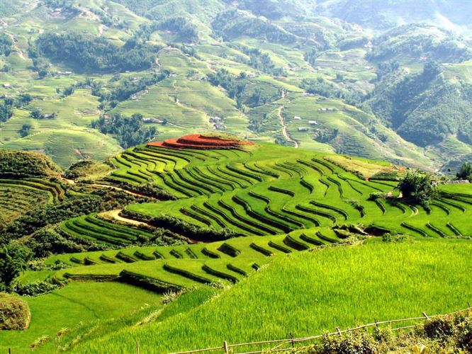 Excursion à Sapa - marché Can Cau, Bac Ha en 2 jours