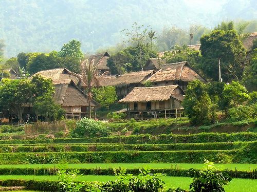 Mai Chau